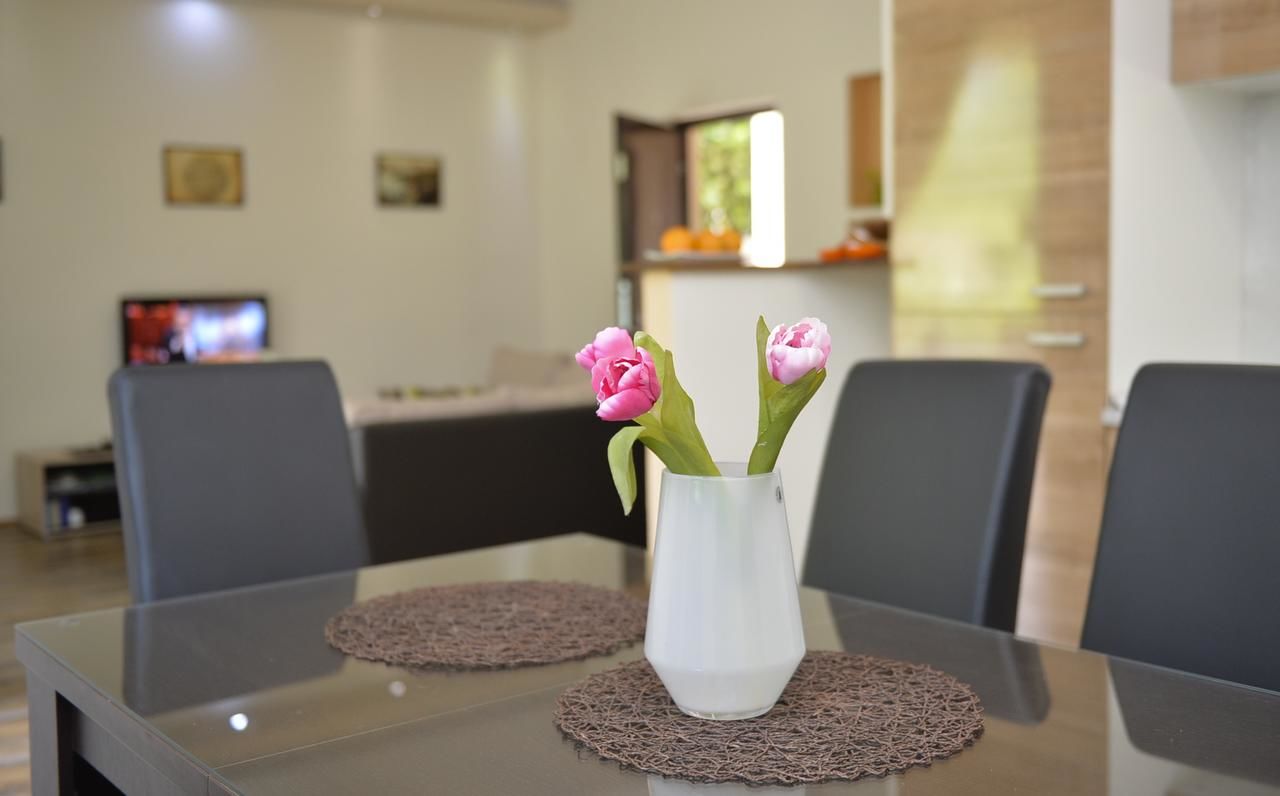 Апартаменты Apartment Filuro Котор