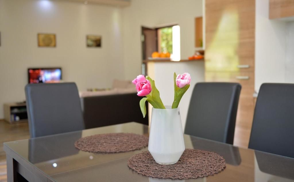 Апартаменты Apartment Filuro Котор